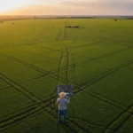 IA no Agronegócio Brasileiro: Produtividade e Inovação Agricultor utilizando tablet com dados de IA em lavoura brasileira ao pôr do sol