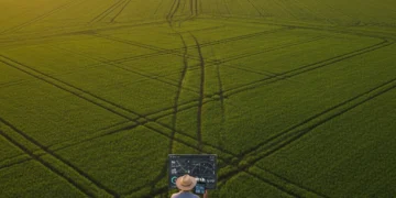 Agricultor utilizando tablet com dados de IA em lavoura brasileira ao pôr do sol